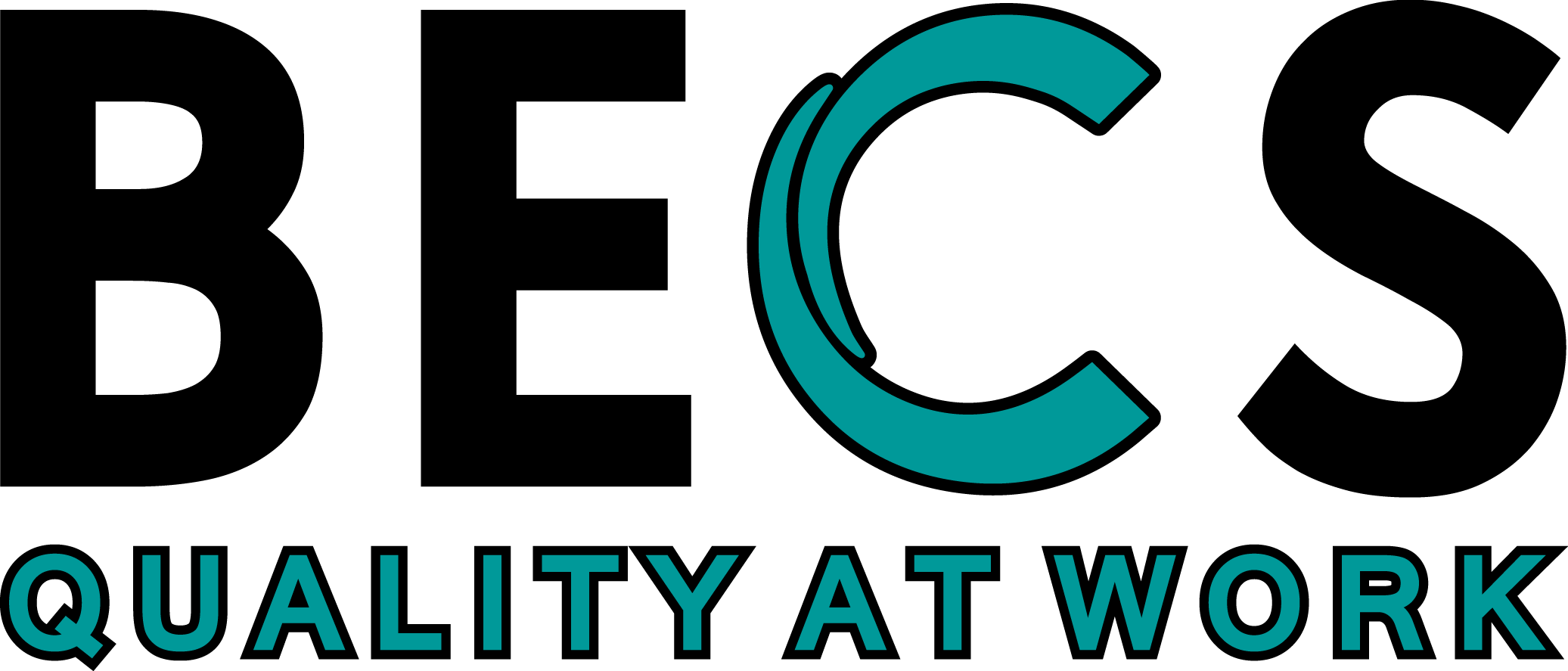 BECS website Bonaire